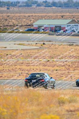 media/Nov-16-2024-Extreme Speed (Sat) [[6587d07cc4]]/Gold Group/Session 1 (Turn 2)/